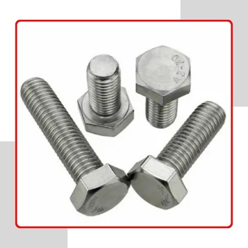 SS 304 Anchor Fasteners In UAE