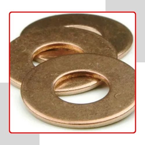 Phosphorous Bronze Punched Washer in UAE